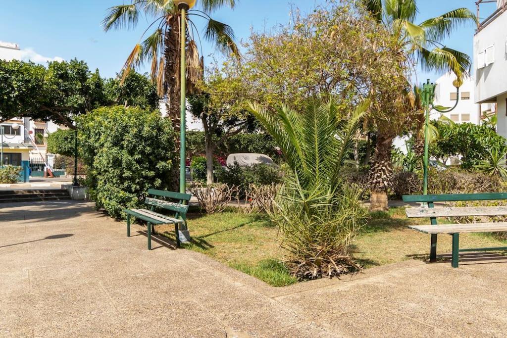Chaleureux Et Calme, Parking, Jardin Apartment